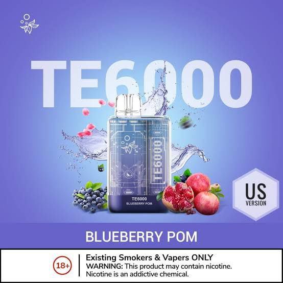 ELFBAR TE6000